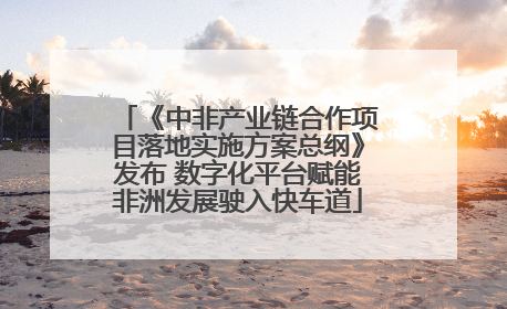 《中非产业链合作项目落地实施方案总纲》发布 数字化平台赋能非洲发展驶入快车道