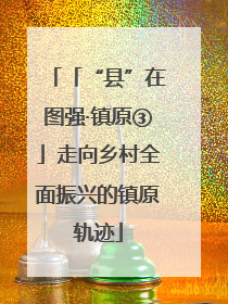 「“县”在图强·镇原③」走向乡村全面振兴的镇原轨迹