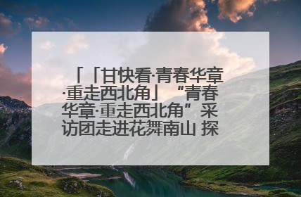 「甘快看·青春华章·重走西北角」“青春华章·重走西北角”采访团走进花舞南山 探寻天水乡村振兴之路