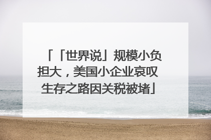 「世界说」规模小负担大，美国小企业哀叹生存之路因关税被堵