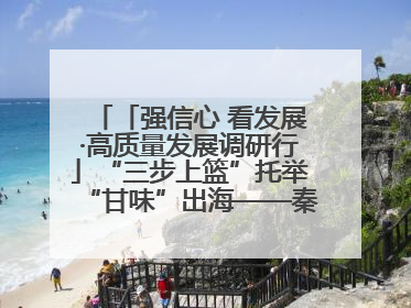 「强信心 看发展·高质量发展调研行」“三步上篮”托举“甘味”出海——秦州大樱桃高质量发展动作分解