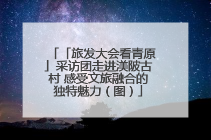 「旅发大会看青原」采访团走进渼陂古村 感受文旅融合的独特魅力（图）