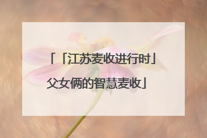 「江苏麦收进行时」父女俩的智慧麦收