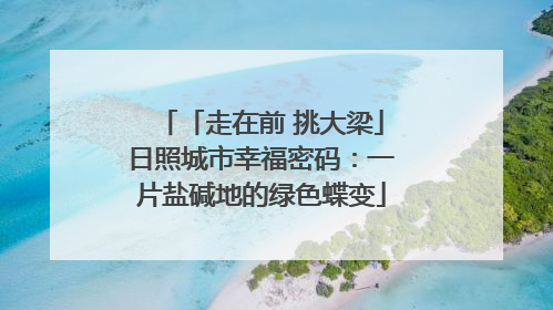 「走在前 挑大梁」日照城市幸福密码：一片盐碱地的绿色蝶变
