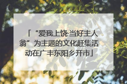 “爱我上饶·当好主人翁”为主题的文化赶集活动在广丰东阳乡开市
