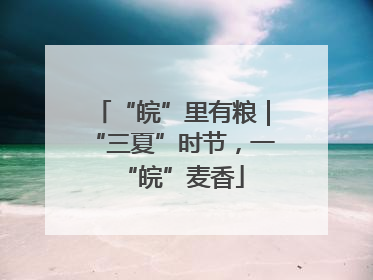 “皖”里有粮｜“三夏”时节，一“皖”麦香