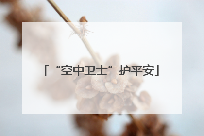 “空中卫士”护平安