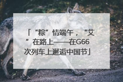 “粽”情端午，“艾”在路上——在G66次列车上邂逅中国节