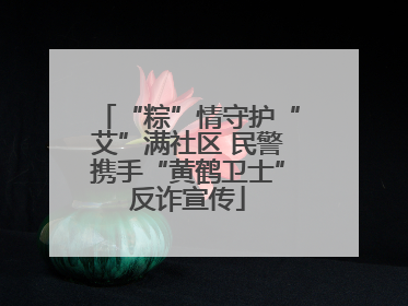 “粽”情守护“艾”满社区 民警携手“黄鹤卫士”反诈宣传