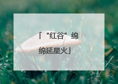 “红谷”绵绵延星火