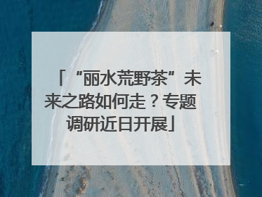 “丽水荒野茶”未来之路如何走？专题调研近日开展