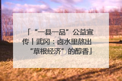 “一县一品”公益宣传丨武冈：卤水里熬出“草根经济”的醇香