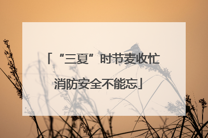 “三夏”时节麦收忙 消防安全不能忘
