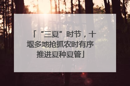 “三夏”时节，十堰多地抢抓农时有序推进夏种夏管