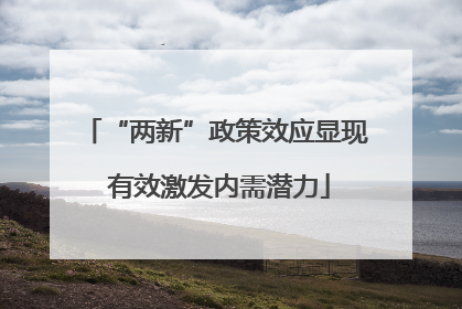 “两新”政策效应显现 有效激发内需潜力