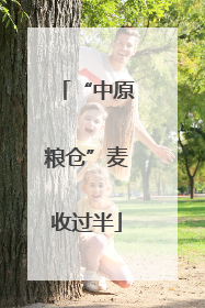 “中原粮仓”麦收过半