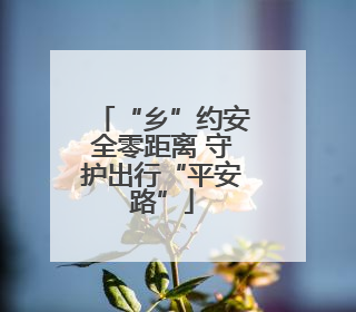 “乡”约安全零距离 守护出行“平安路”