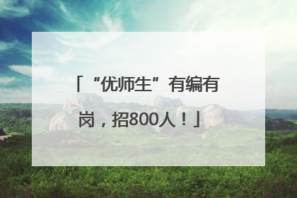 “优师生”有编有岗，招800人！