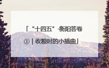 “十四五”·衡阳答卷③｜收粮时的小插曲