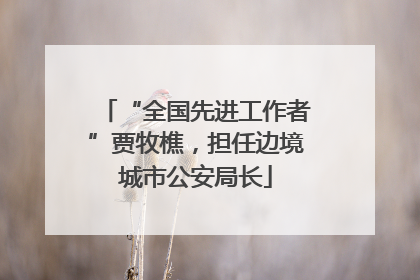 “全国先进工作者”贾牧樵，担任边境城市公安局长