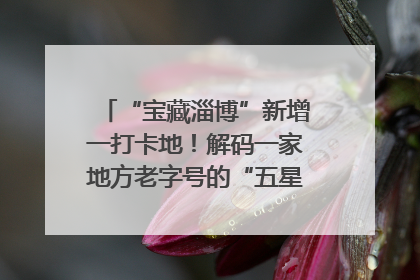 “宝藏淄博”新增一打卡地！解码一家地方老字号的“五星级”破局之路