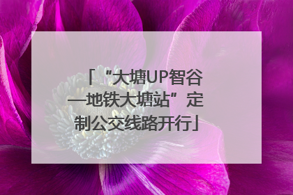 “大塘UP智谷—地铁大塘站”定制公交线路开行