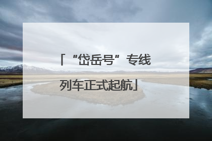 “岱岳号”专线列车正式起航