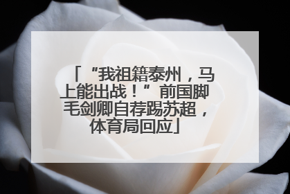 “我祖籍泰州，马上能出战！”前国脚毛剑卿自荐踢苏超，体育局回应