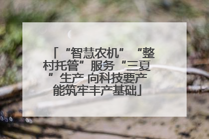 “智慧农机”“整村托管”服务“三夏”生产 向科技要产能筑牢丰产基础