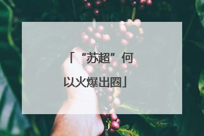 “苏超”何以火爆出圈