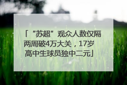 “苏超”观众人数仅隔两周破4万大关，17岁高中生球员独中二元