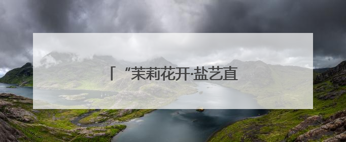 “茉莉花开·盐艺直达”江苏滨海站启幕