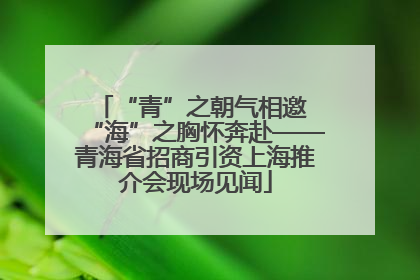 “青”之朝气相邀 “海”之胸怀奔赴——青海省招商引资上海推介会现场见闻