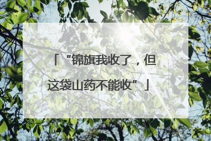 “锦旗我收了，但这袋山药不能收”