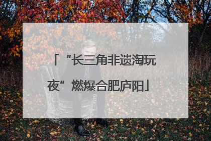 “长三角非遗淘玩夜”燃爆合肥庐阳