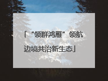 “领群鸿雁”领航边境共治新生态