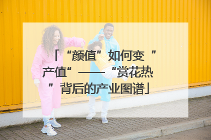 “颜值”如何变“产值”——“赏花热”背后的产业图谱