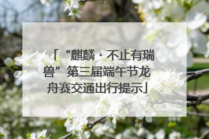 “麒麟・不止有瑞兽”第三届端午节龙舟赛交通出行提示