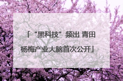 “黑科技”频出 青田杨梅产业大脑首次公开