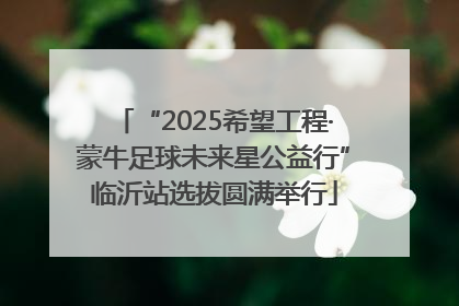 “2025希望工程·蒙牛足球未来星公益行”临沂站选拔圆满举行