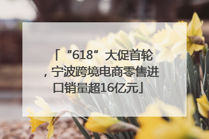 “618”大促首轮，宁波跨境电商零售进口销量超16亿元