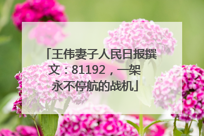 王伟妻子人民日报撰文：81192，一架永不停航的战机