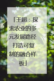 王超：探索农业的多元发展路径 打造可复制的融合样板