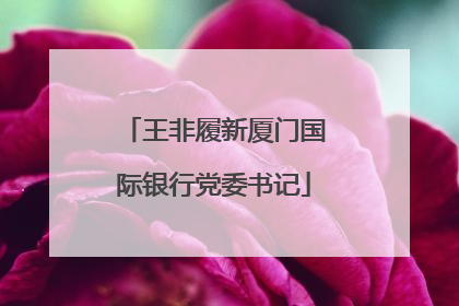 王非履新厦门国际银行党委书记