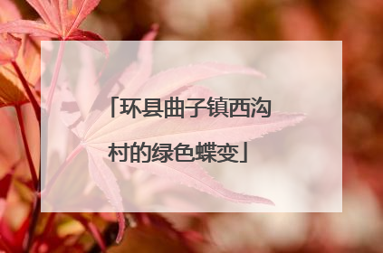 环县曲子镇西沟村的绿色蝶变