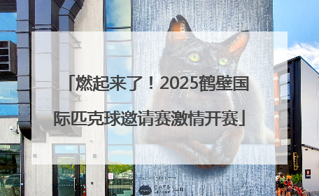 燃起来了！2025鹤壁国际匹克球邀请赛激情开赛