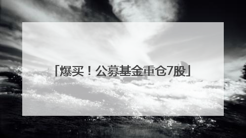 爆买！公募基金重仓7股