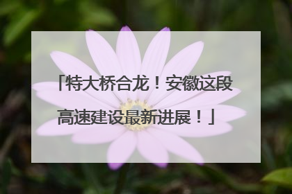 特大桥合龙！安徽这段高速建设最新进展！