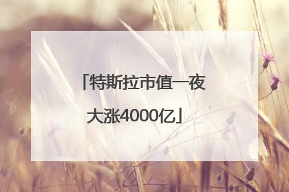特斯拉市值一夜大涨4000亿