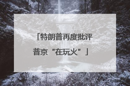特朗普再度批评普京“在玩火”